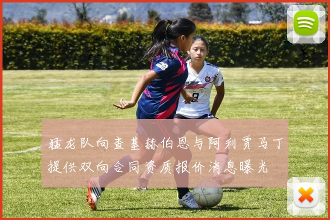 猛龙队向查基赫伯恩与阿利贾马丁提供双向合同资质报价消息曝光
