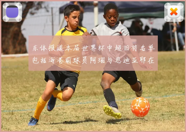 东体报道本届世界杯中超旧将名单包括海港前球员阿瑙与恩迪亚耶在内的10位球员